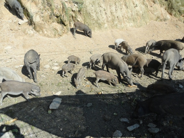 ���g22 - �ٷ���վ -- ÿ���о�ϲ