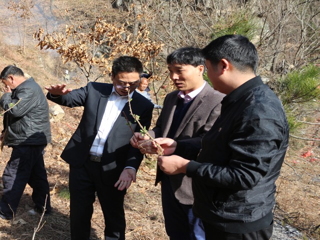 7c090ff593b595aece8a2a93ea5cb3bb